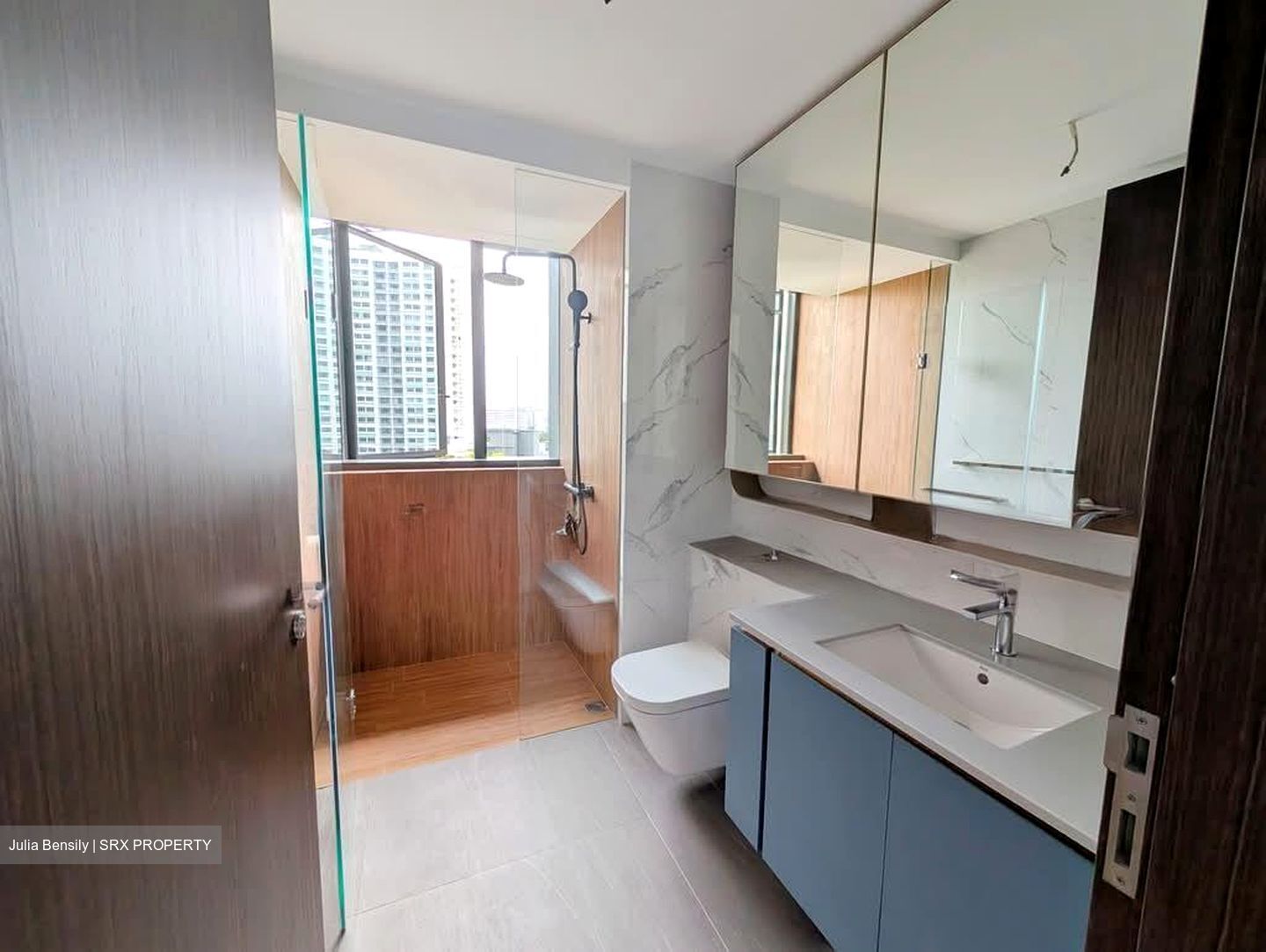 Amo Residence (D20), Apartment #569209761